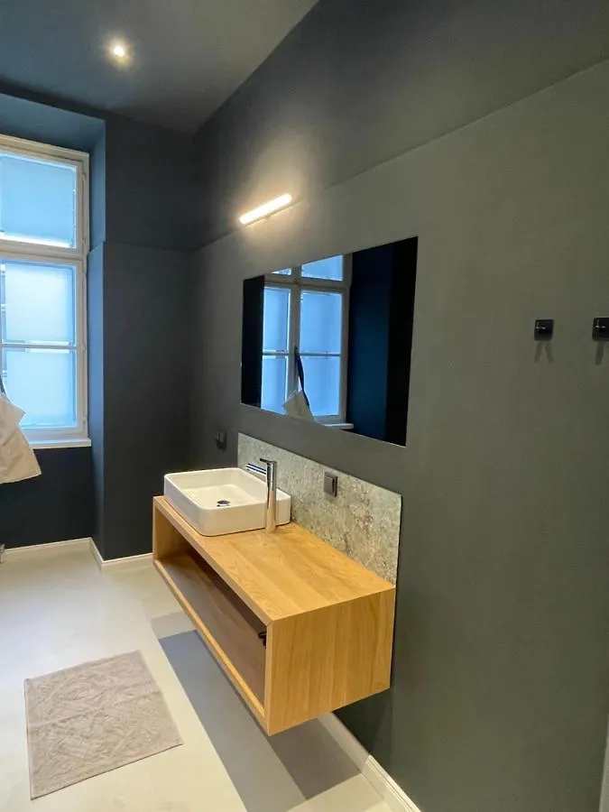 City Apartment Downtown Vienna